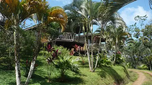 Bungalows en bois entourés de jungle à Pedacito de Cielo