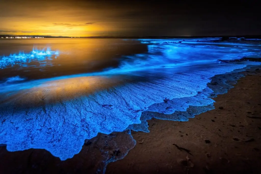 Effets lumineux bleus dans l’eau causés par la bioluminescence nocturne.