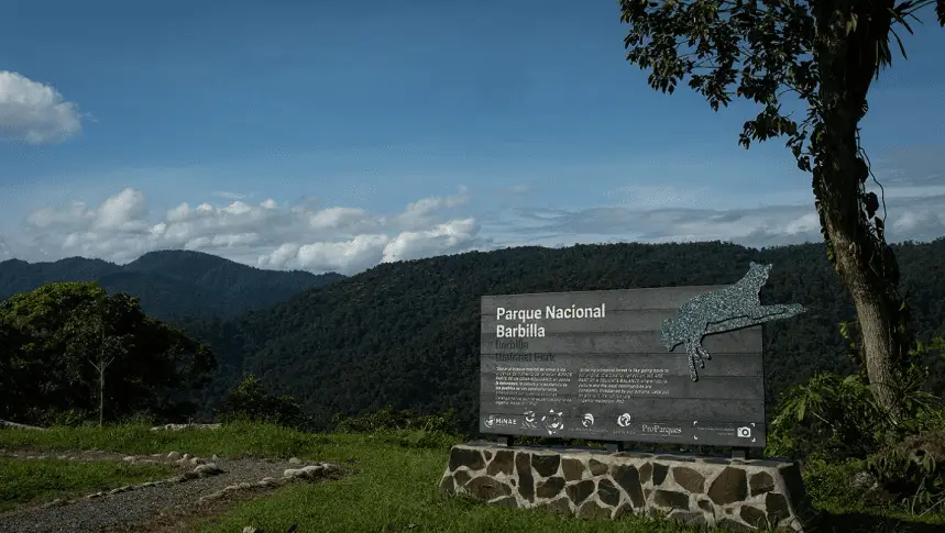 Panorama de montagne du Parc National Barbilla, refuge naturel du Costa Rica.