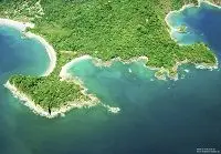 Plages de sable blanc et faune sauvage au Parc National Manuel Antonio.