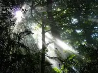 Activités géothermiques et randonnée au Parc National Rincón de la Vieja.