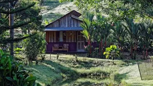 Plantation tropicale avec visite guidée et dégustation de produits frais