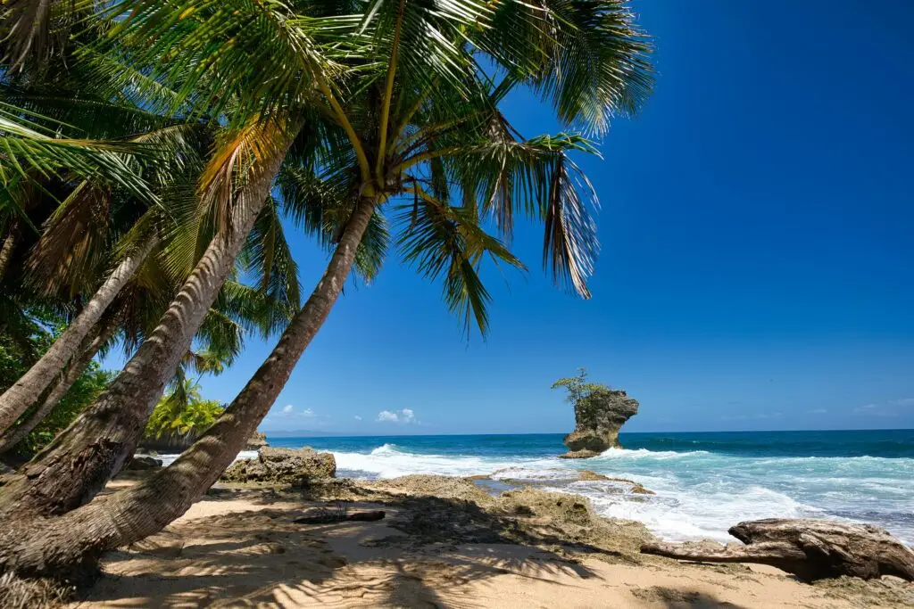 Plage de sable blanc bordée de palmiers à Cahuita.