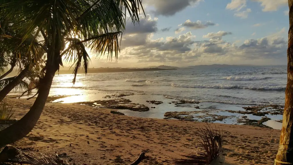 Plage de sable blanc bordée de palmiers à Cahuita