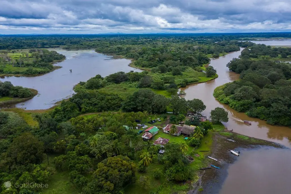 Bateau naviguant paisiblement sur les marécages du Refuge National de Faune de Caño Negro, habitat de nombreuses espèces sauvages