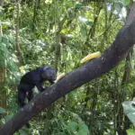 Conditions Générales de Vente