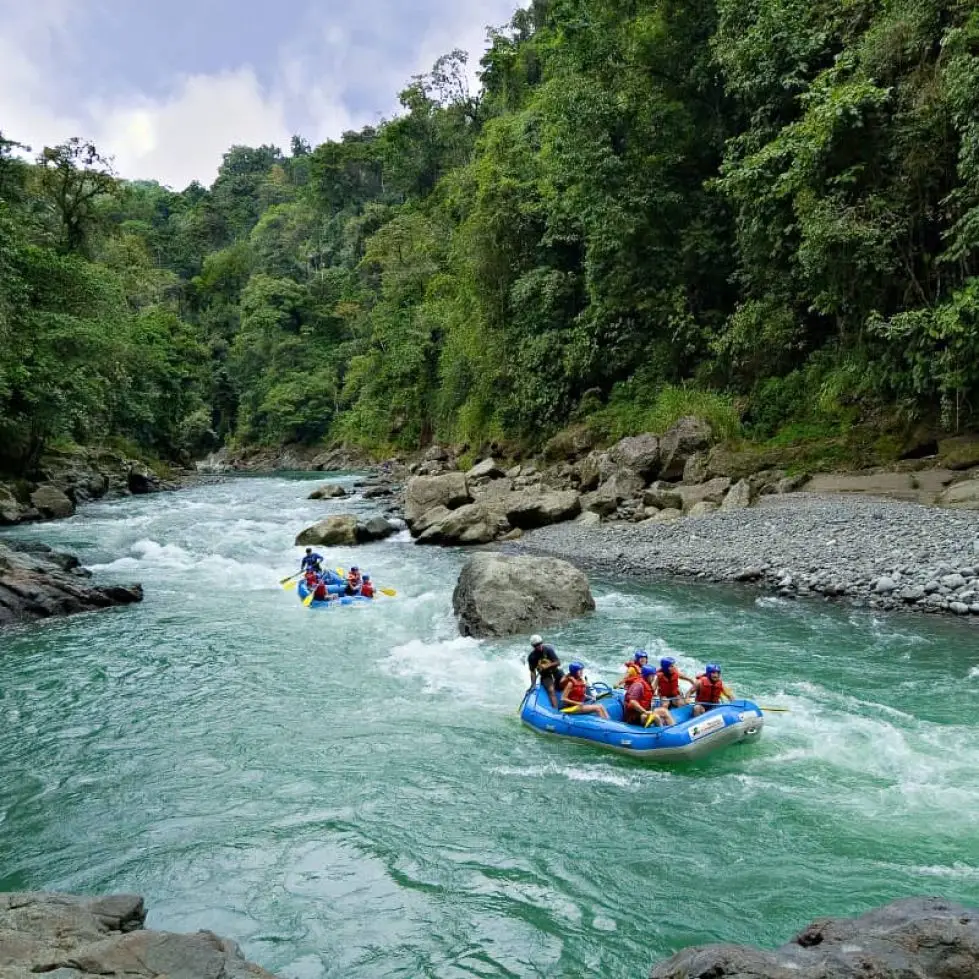 Pont suspendu au-dessus de la forêt tropicale de Sarapiquí, région riche en biodiversité au nord-est du Costa Rica.