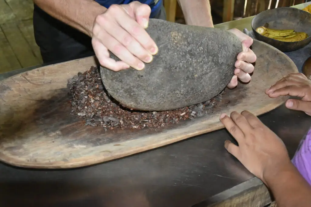 Cabosse de cacao mûre ouverte montrant les fèves fraîches, récoltée dans une ferme au Costa Rica