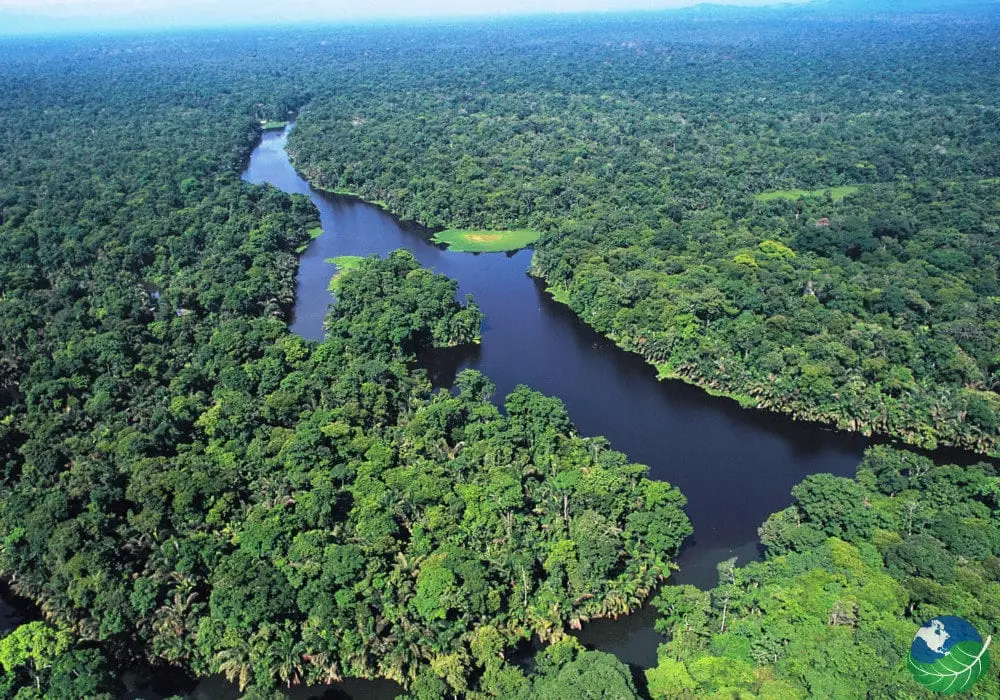 Vue aérienne du village de Tortuguero et des canaux dans la jungle tropicale du Costa Rica