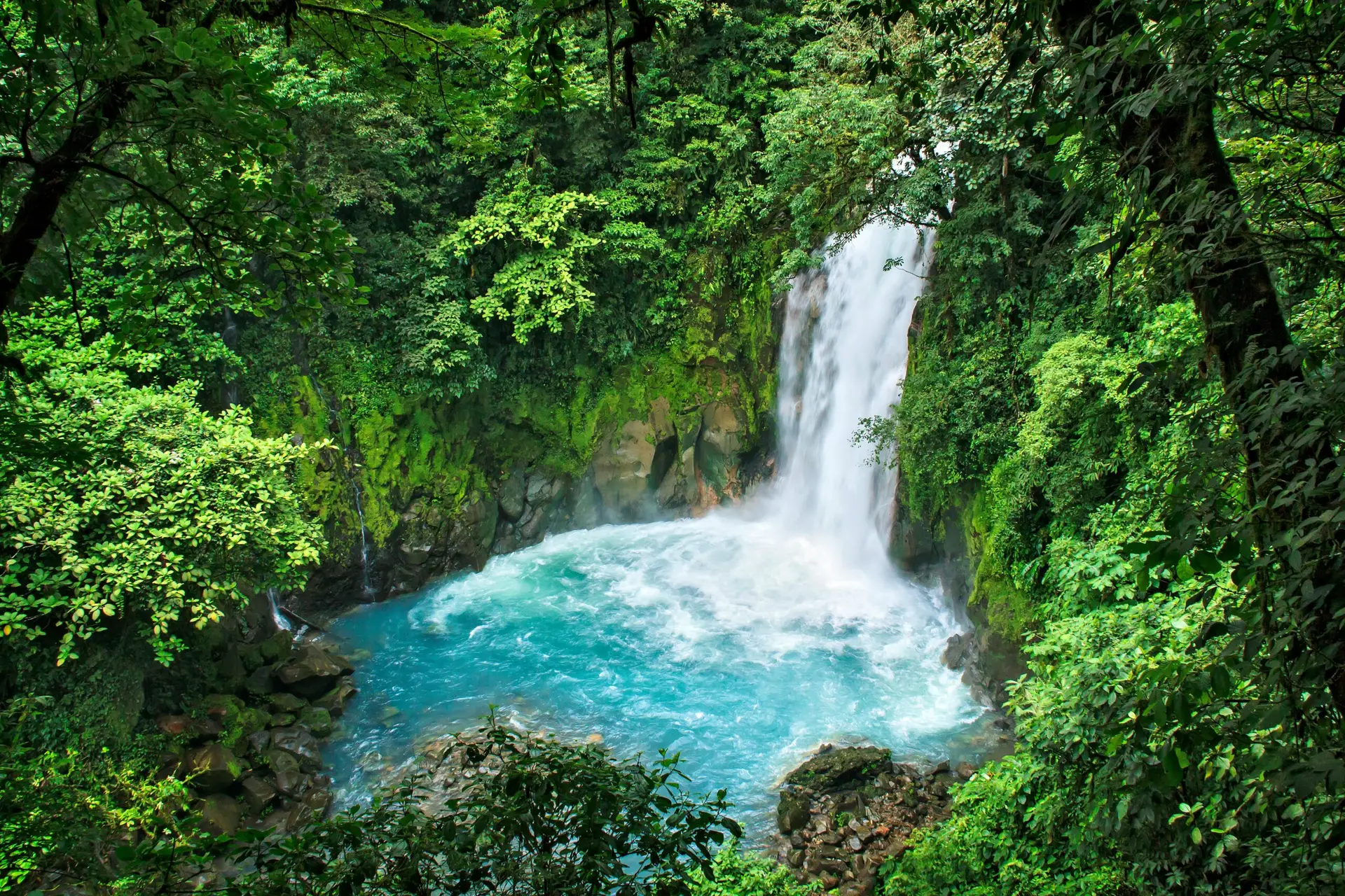 Vacances au Costa Rica | Climat du Costa Rica Cascade turquoise du Río Celeste dans la forêt du parc national du Volcan Tenorio